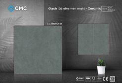 Gạch lát WC CCM33001S6