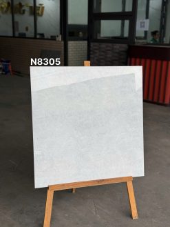 Gạch ốp lát N8305