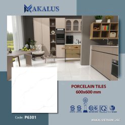 Gạch ốp lát P6301