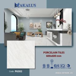 Gạch ốp lát P6302