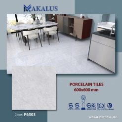 Gạch ốp lát P6303