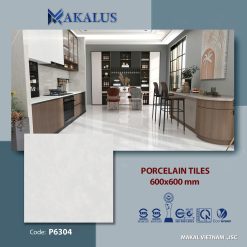 Gạch ốp lát P6304